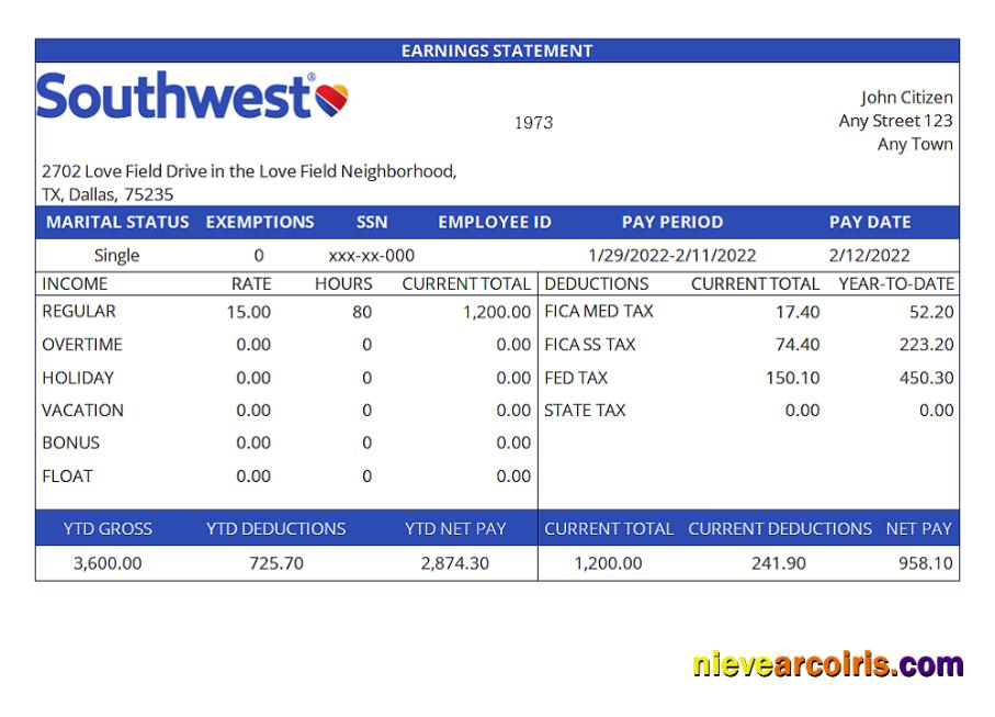 USA Southwest Airlines Airlines Company Pay Stub Template
