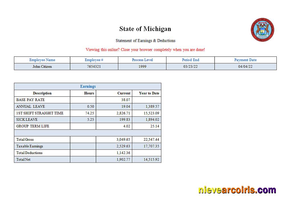 USA State Of Michigan Social Services Company Pay Stub Photolook