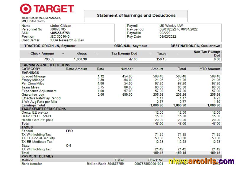 USA Target Retail Company Pay Stub Preview