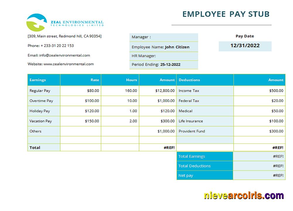 Premium USA Texas Commercial Cleaning Company Earnings Statement Template In Word And PDF Format