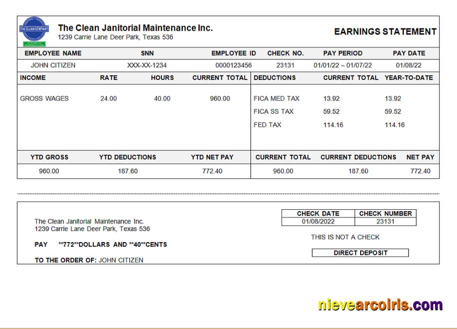 USA Texas Commercial Cleaning Company Earnings Statement Photolook