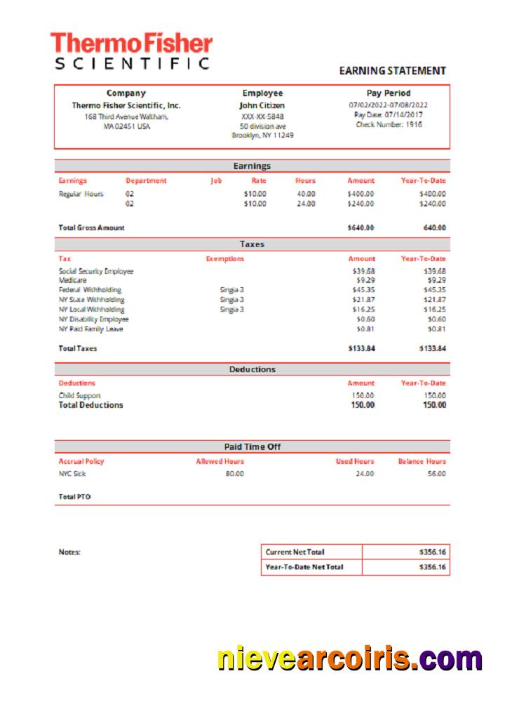 USA Thermo Fisher Scientific Laboratory Instruments Company Pay Stub Preview