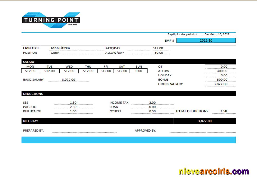 USA Turning Point Brands Tobacco Company Pay Stub Sample