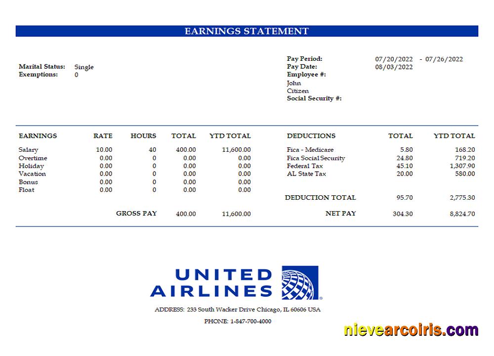 USA United Airlines Holdings Airlines Company Pay Stub Template