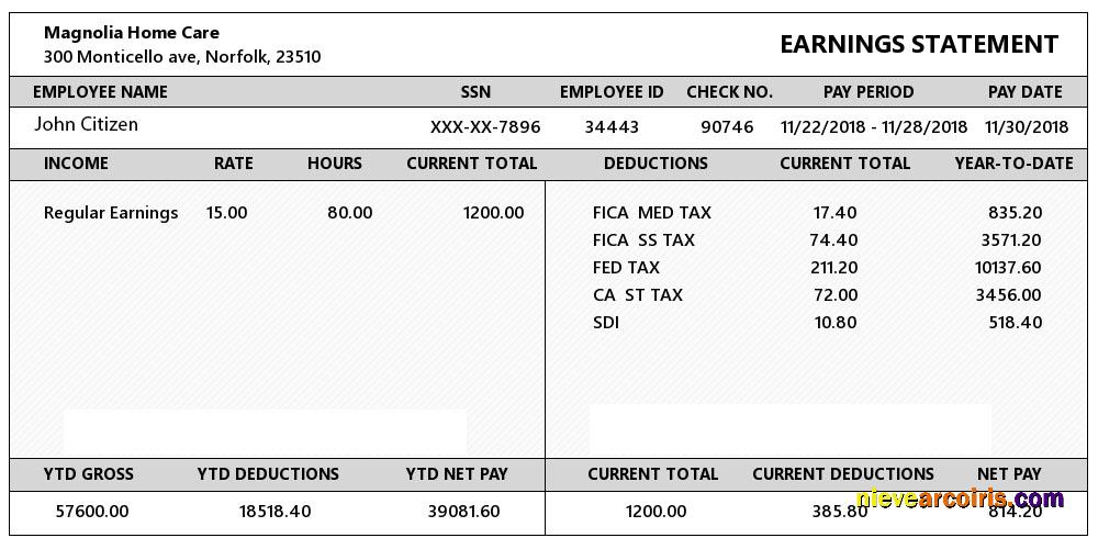 USA VIRGINIA Magnolia Home Care Earning Statement In Word And PDF Formats Preview