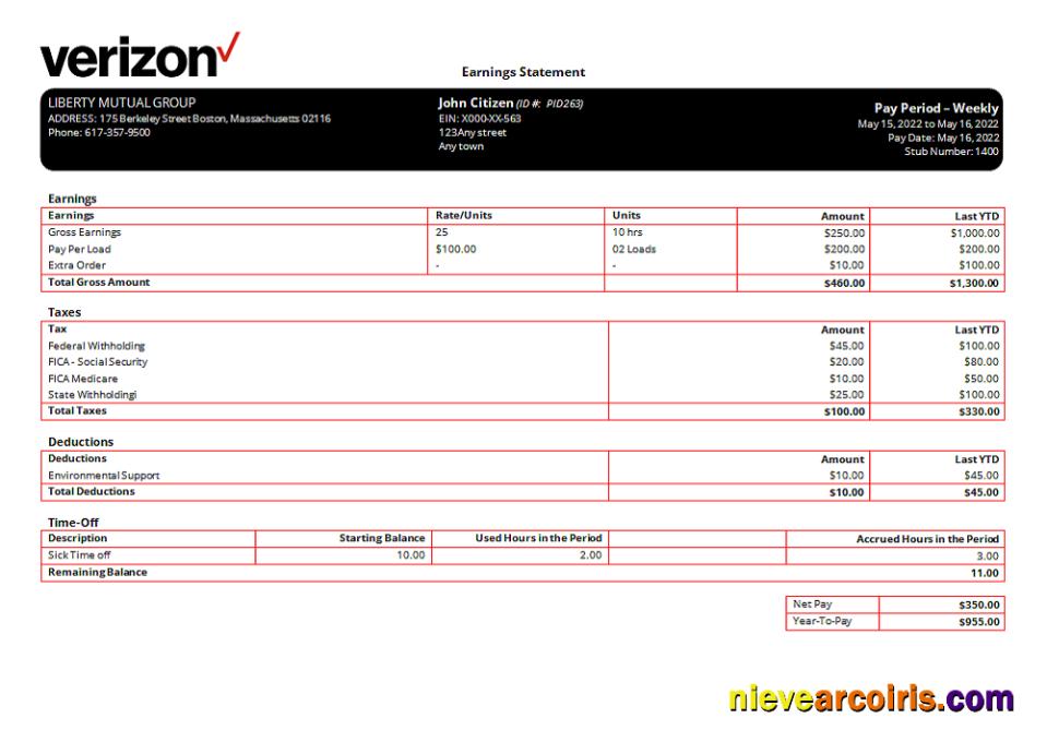 USA Verizon Telecommunication Company Pay Stub Preview