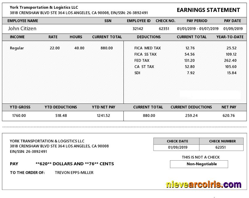 USA YORK Transportation & Logistics LLC Earning Statement In Word And PDF Formats Preview