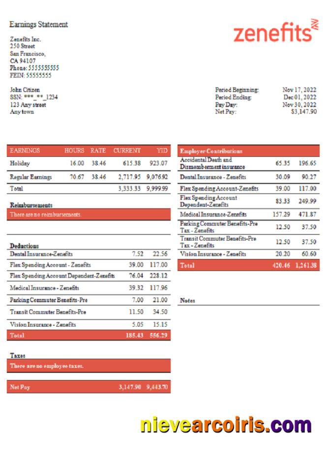 USA Zenefits Technology Company Pay Stub Preview