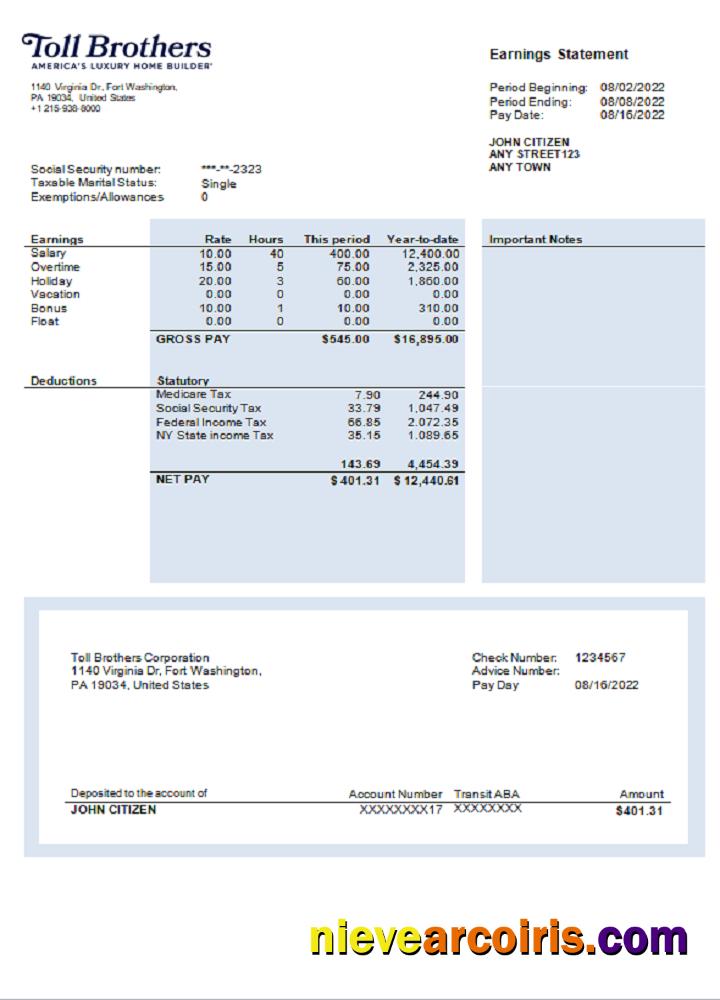USA Building Company Earning Statement Sample