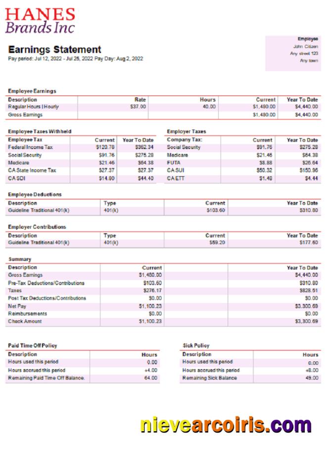 USA Clothing Company Earning Statement Preview