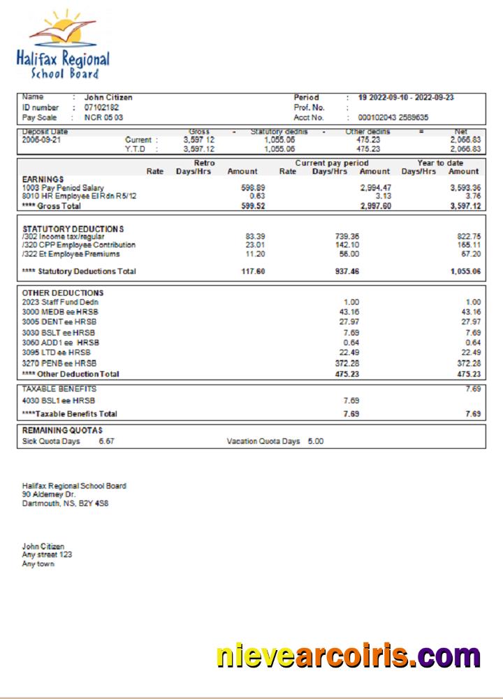 Professional USA Educational Earning Statement Template