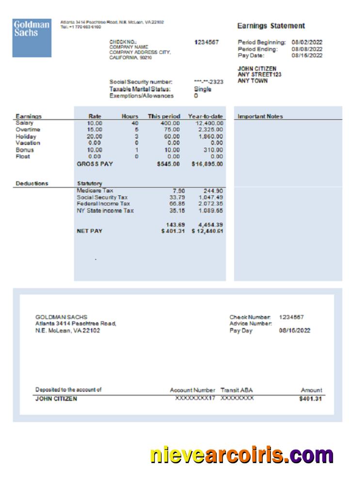 Premium USA Financial Company Earning Statement Template In Word And PDF Format, Version 2