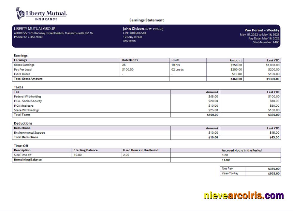 Professional USA Insurance Company Earning Statement Template In Word And PDF Format, Version 2