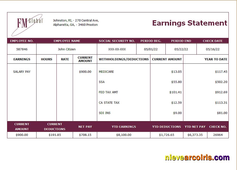 USA Insurance Company Earning Statement Sample