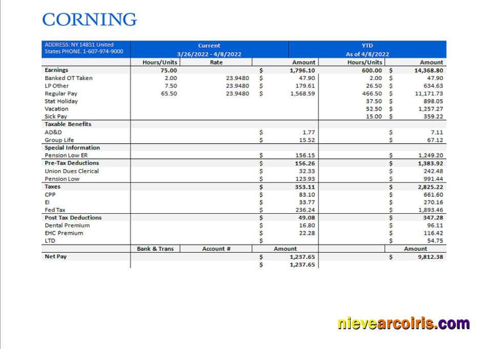 USA Manufacturing Company Employee Sheet Preview