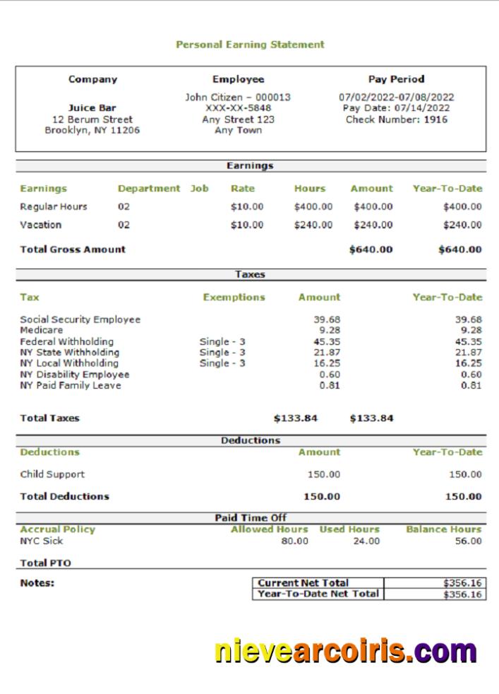 Premium USA Personal Earning Statement Template