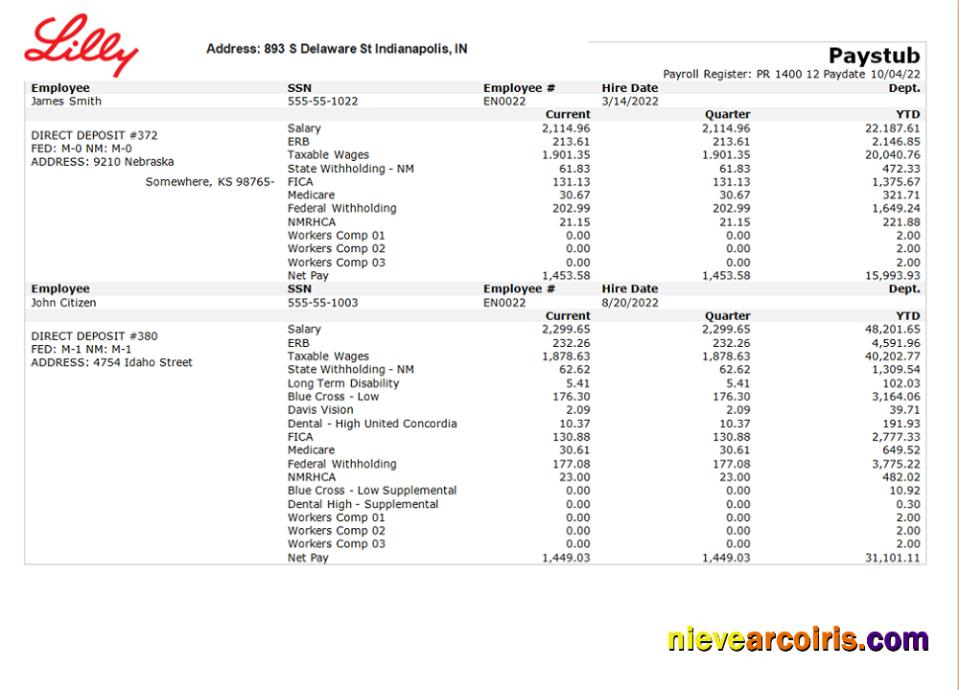 USA Pharmaceutical Company Earnings Statement Sample