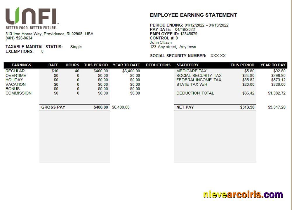 USA Retail Company Earning Statement Template