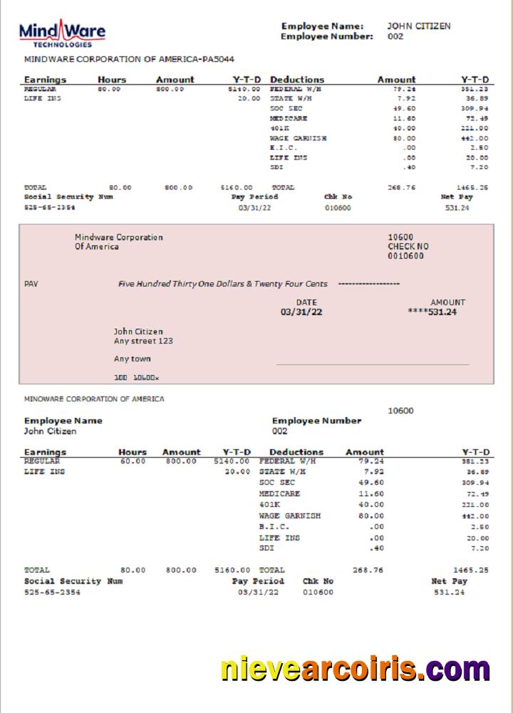 USA Software Company Employee Sheet Sample