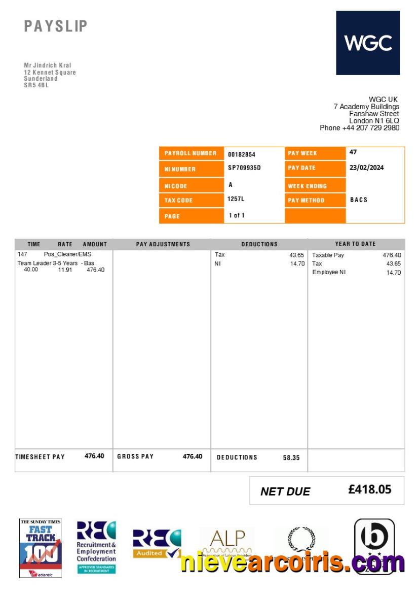 Premium United Kingdom WGC Cleaning Service Payslip Template In Word And PDF Formats.pdf, 1