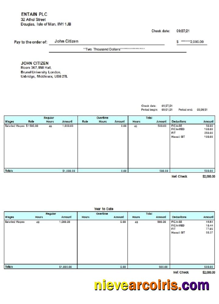 United Kingdom Pay Stub Word Preview