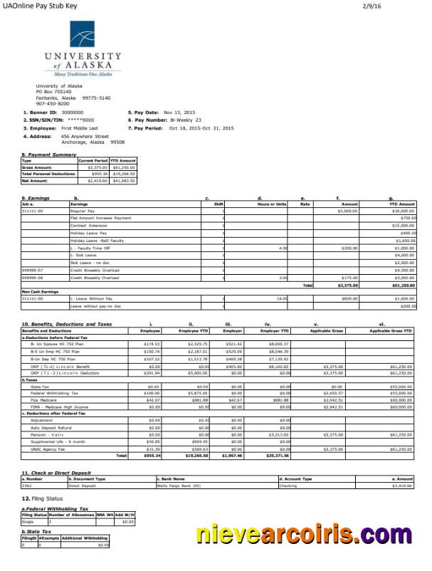 Premium University Of Alaska Pay Stub Word And PDF Template