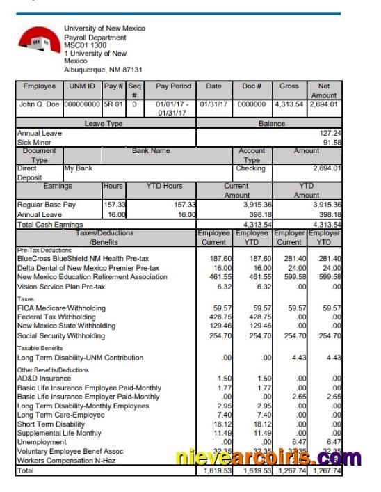 Editable University Of New Mexico Pay Stub Word And PDF Template