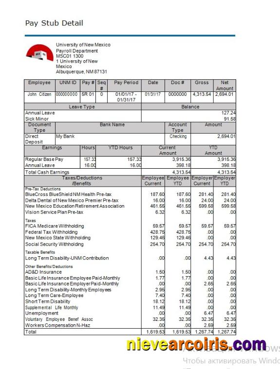 University Of New Mexico Paystub In Word And Pdf Formats Preview