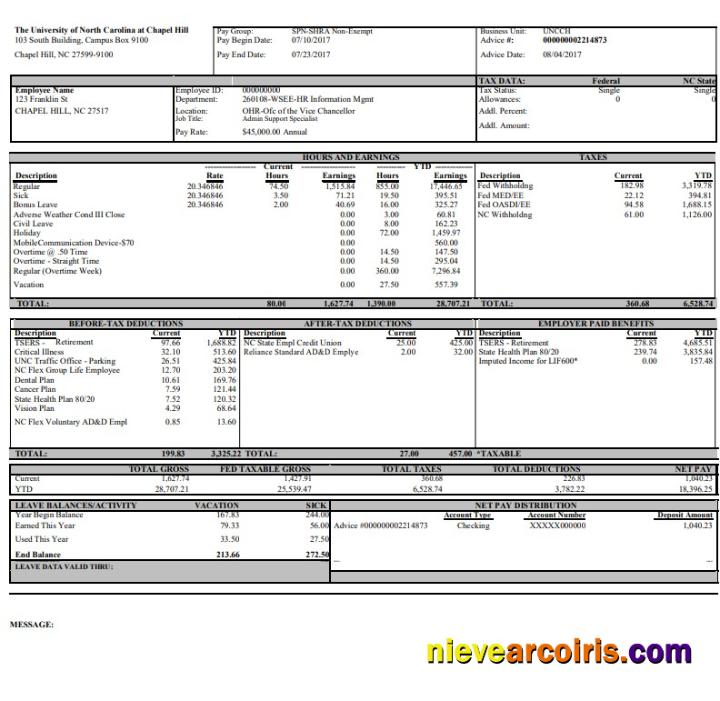 Professional University Of North Carolina Pay Stub Word And PDF Template