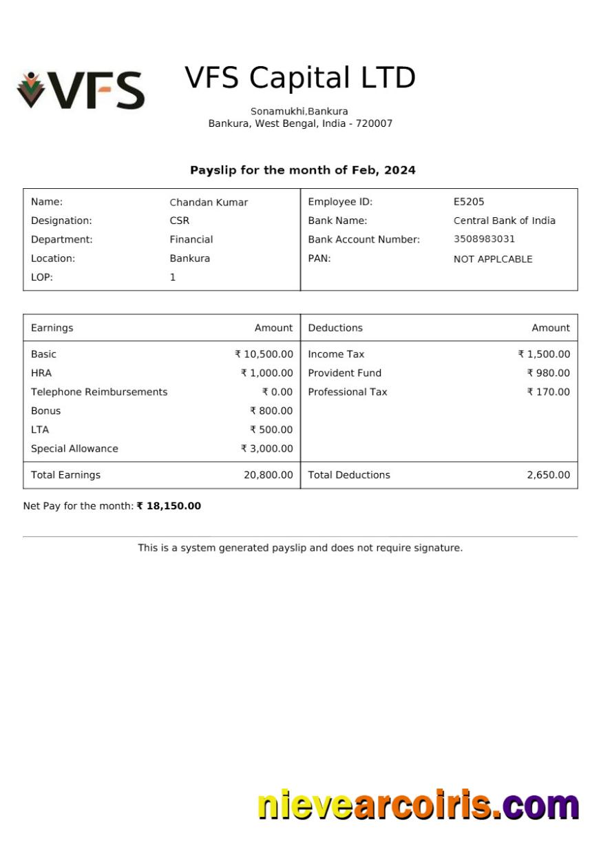 Realistic VFS Capital Payslip Template In Word And PDF Formats.pdf, 1