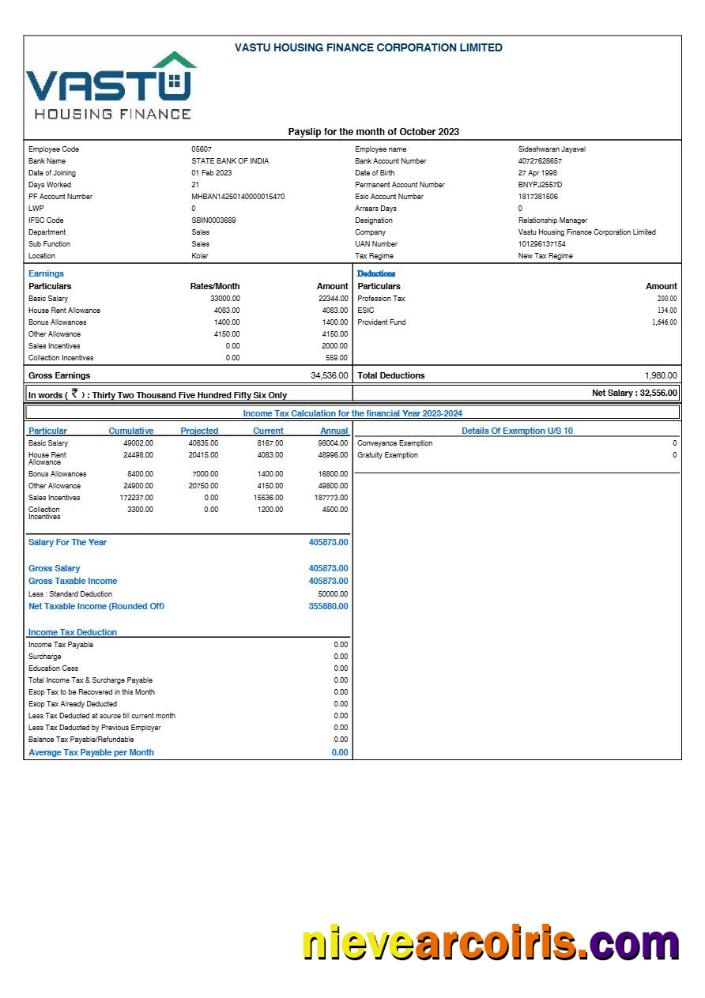 Professional Vastu Housing Finance Corporation Payslip Template In Word And PDF Formats.pdf, 1