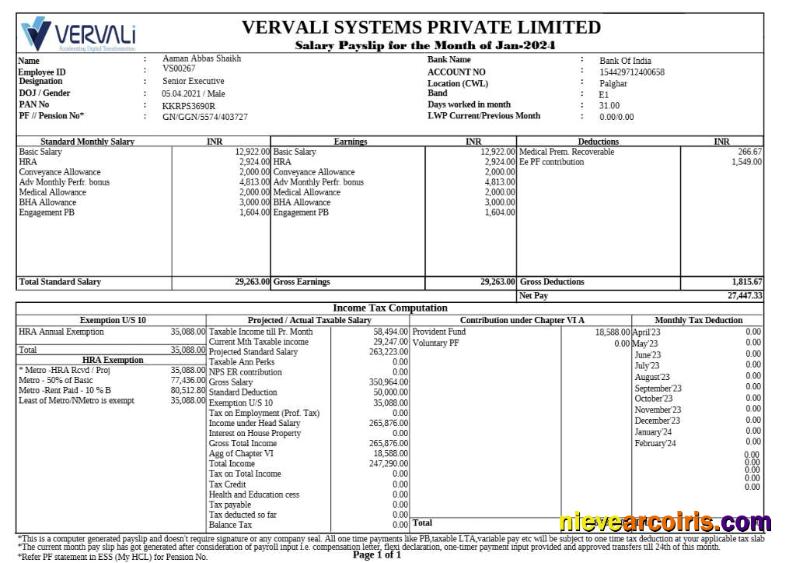 Professional Vervali Systems Software Company Payslip Template In Word And PDF Formats.pdf, 1