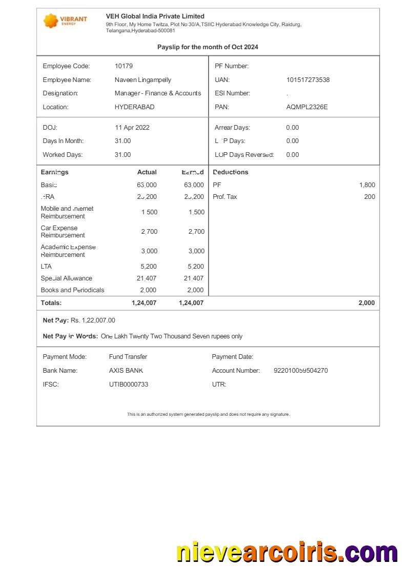 Realistic Vibrant Energy VEH Global India Payslip Template In Word And PDF Formats.pdf, 1