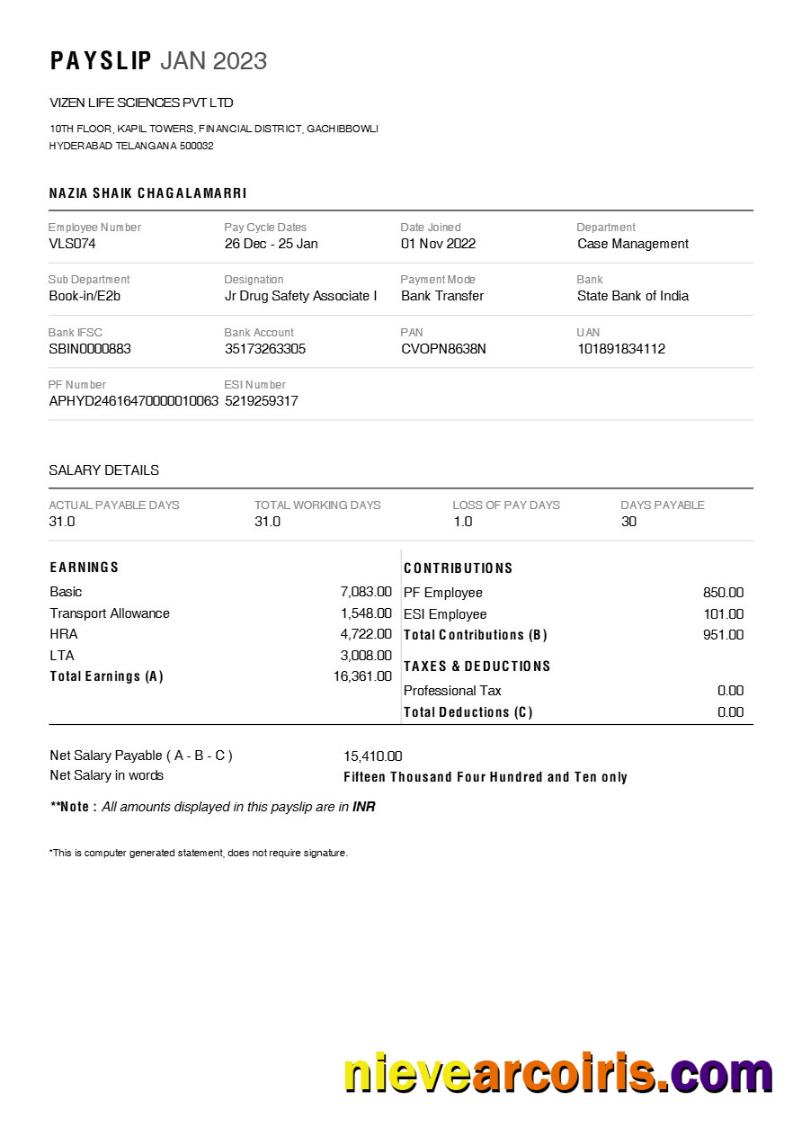 Premium Vizen Life Sciences Pharmaceutical Company Payslip Template In Word And PDF Formats.pdf, 1