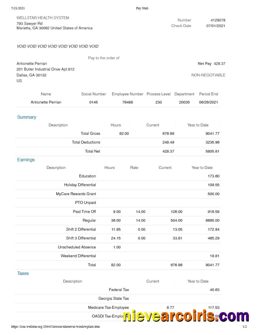 Editable WELLSTAR HEALTH SYSTEM Pay Stub Template In Word And PDF Formats.pdf, 1