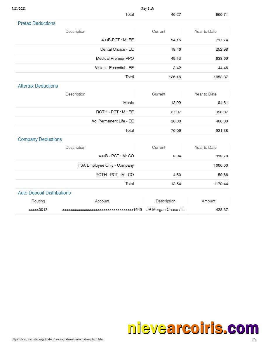 Professional WELLSTAR HEALTH SYSTEM Pay Stub Template In Word And PDF Formats.pdf, 2