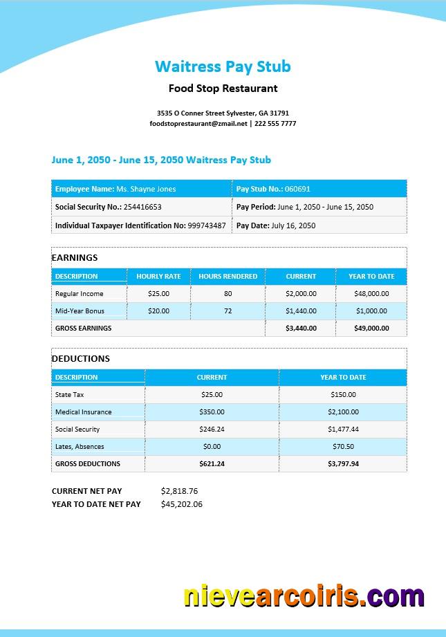 Editable Waitress Pay Stub Template
