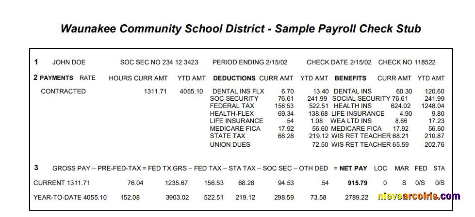 Professional Waunakee Community School District Payroll Check Stub Word And PDF Template