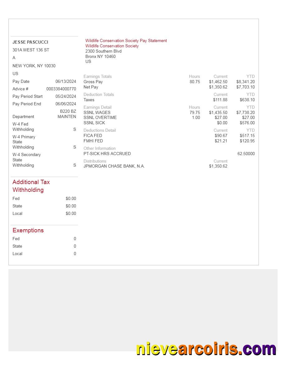 Professional Wildlife Conservation Society Pay Statement Template In Word And PDF Formats.pdf, 1