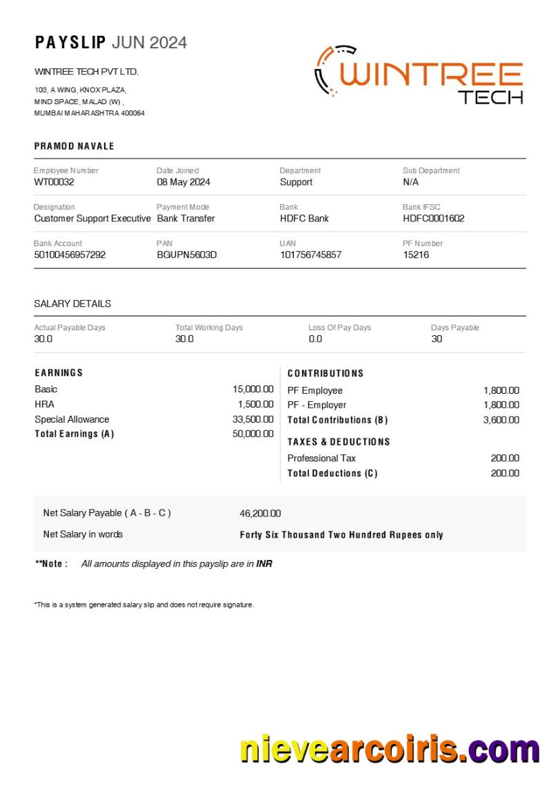 Professional Wintree Tech Payslip Template In Word And PDF Formats.pdf, 1