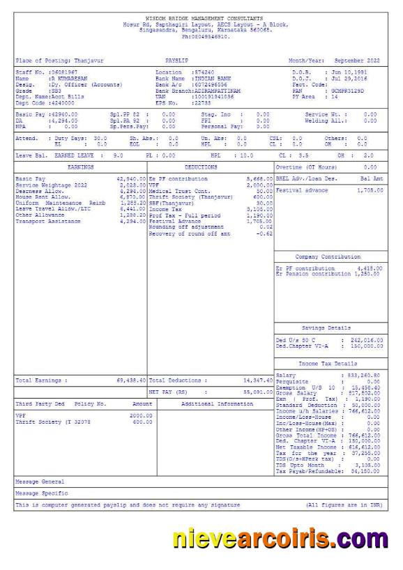 Professional Wisdom Bridge Management Consultants Payslip Template In Word And PDF Formats.pdf, 1