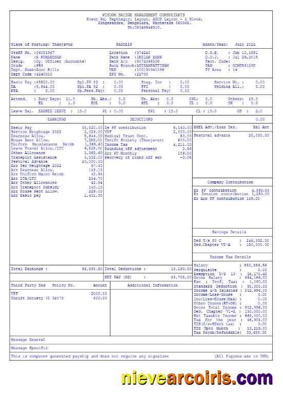 Premium Wisdom Bridge Management Consultants Payslip Template In Word And PDF Formats.pdf, 3