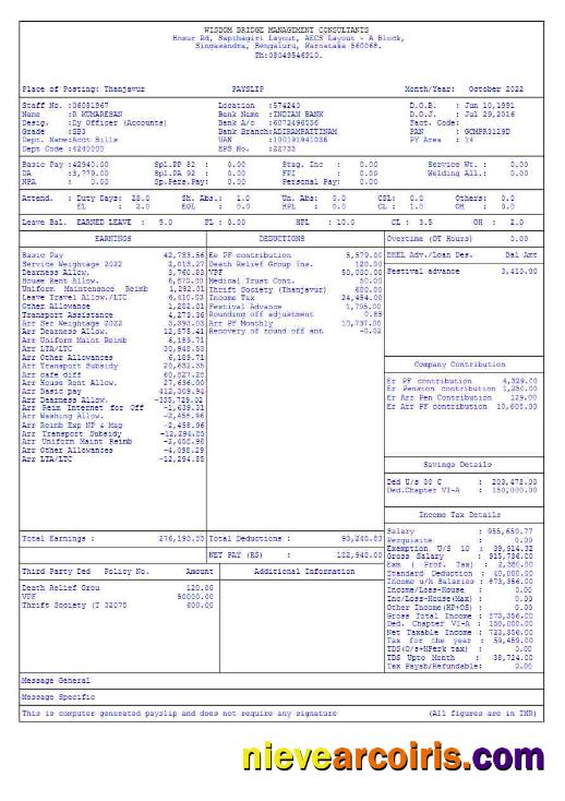 Realistic Wisdom Bridge Management Consultants Payslip Template In Word And PDF Formats.pdf, 5