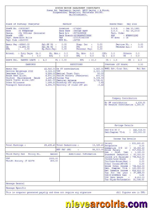 Professional Wisdom Bridge Management Consultants Payslip Template In Word And PDF Formats.pdf, 6
