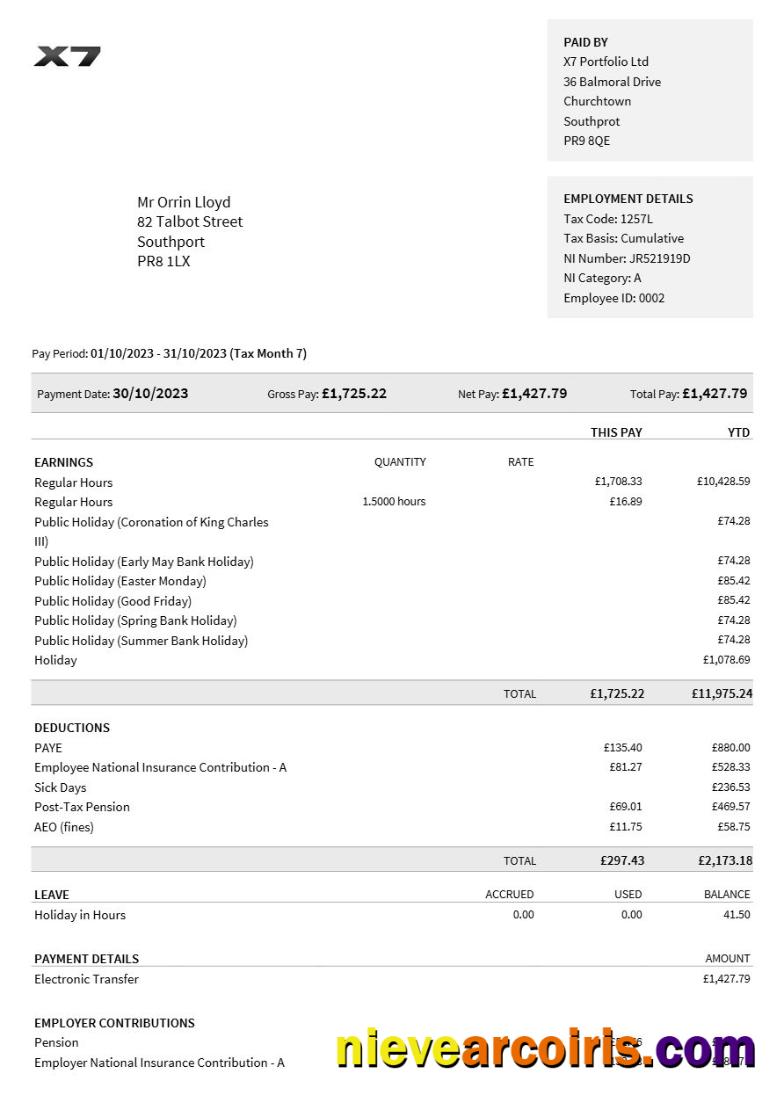 Professional X7 Portfolio Payslip Template In Word And PDF Formats.pdf, 1