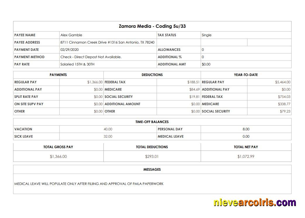 Zamora Media Coding Pay Stub Preview