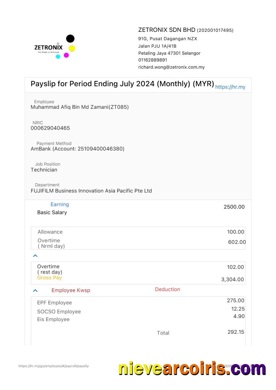 Premium Zetronix Payslip Template In Word And PDF Formats.pdf, 1