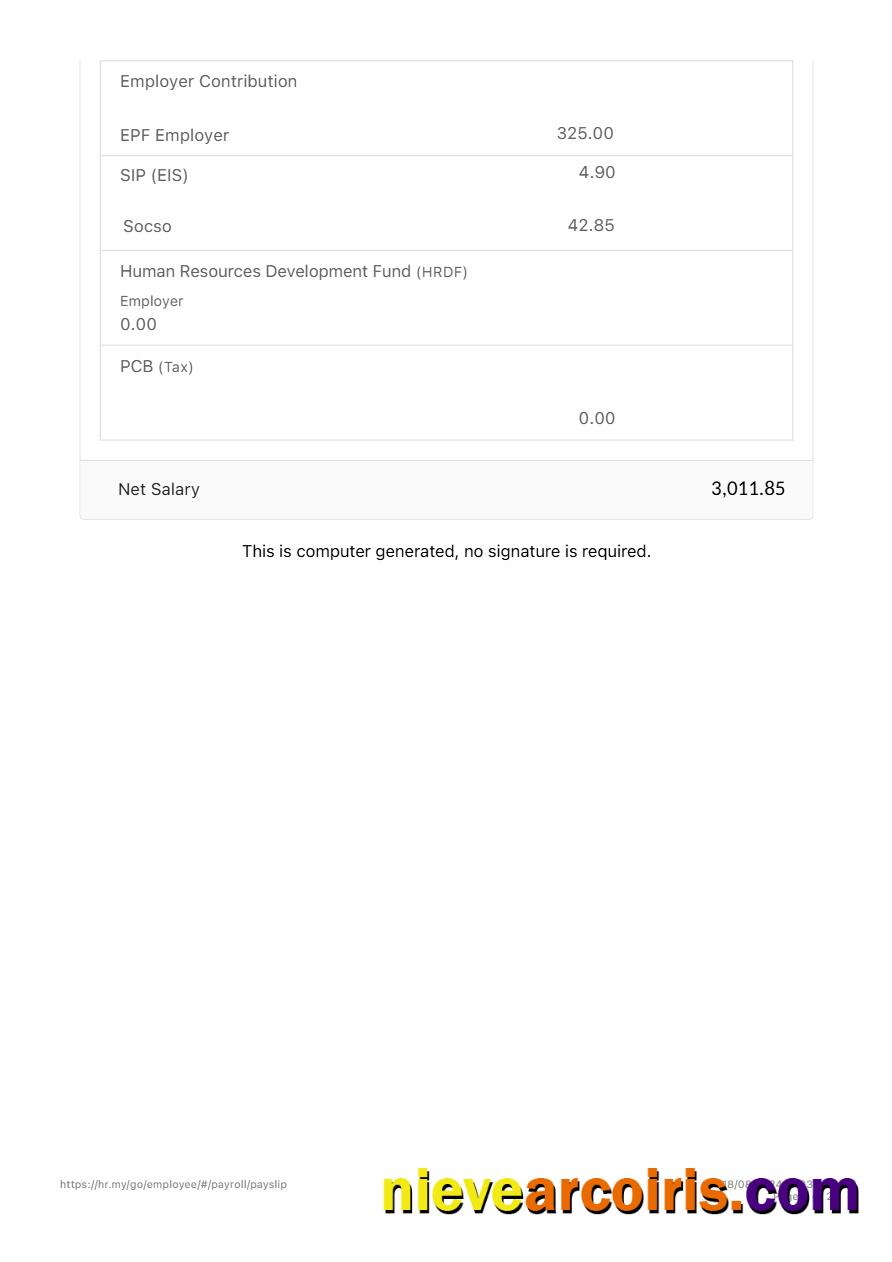 Editable Zetronix Payslip Template In Word And PDF Formats.pdf, 2