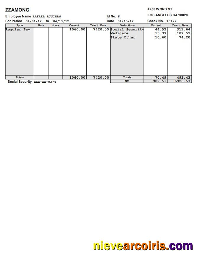 Zzamong Company Pay Stub In PDF And Word Format Template
