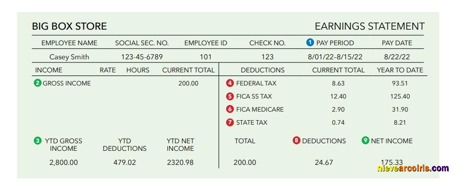 Professional Building Blocks Earnings Statement Word And PDF Template